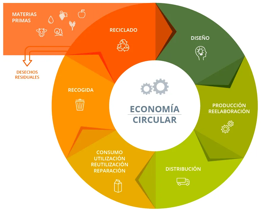 PASOS QUE DAN FORMA A UNA ECONOMÍA CIRCULAR